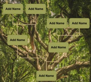 Family Tree Template for Google Docs (2 Free Downloads) Family Tree Template for Google Docs (2 Free Downloads)