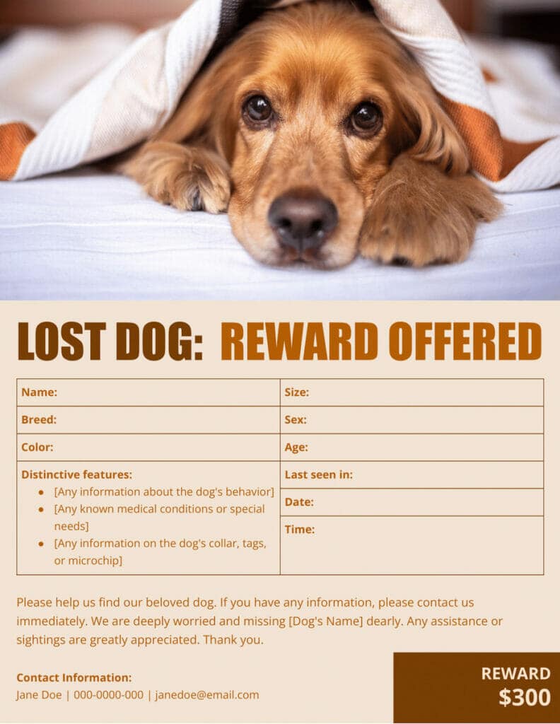 Lost Pet Template Google Docs-Missing Dog Template